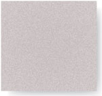 Paint chip: Arcadia Silver 4556