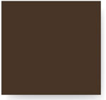 Paint chip: Bahama Brown 4430