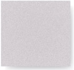 Paint chip: Bright Silver 4261
