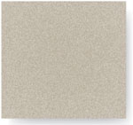 Paint chip: Champagne 11135