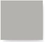 Paint chip: Gray 11408
